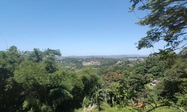 Apartamentos em Westville