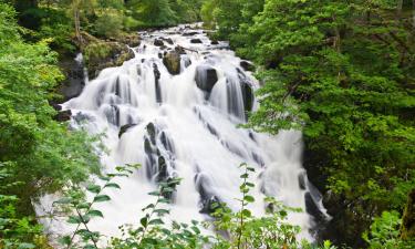 Pet-Friendly Hotels in Betws-y-coed