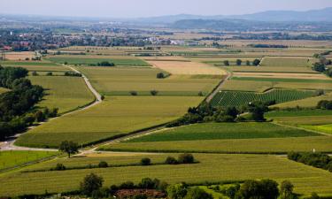 Hotéis econômicos em Münchweier