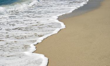 Ferieboliger i La Couarde-sur-Mer