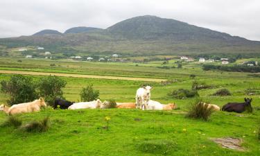 Mga hotel sa Carrickmacross