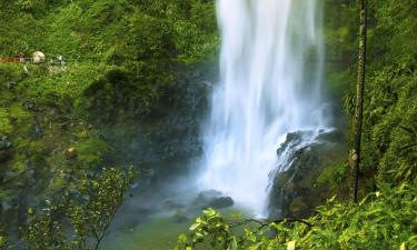 Overnatningssteder med køkken i Springbrook