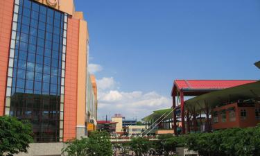 Hoteles con estacionamiento en Ebina