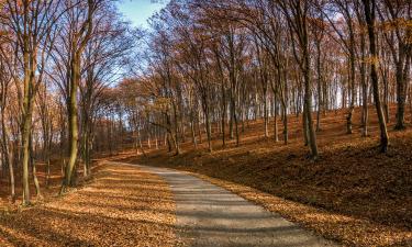 Hotels mit Parkplatz in Ungheni