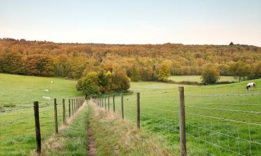 Hotel dengan Parking di Betchworth