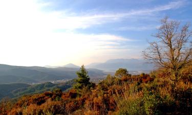 Alquileres vacacionales en Radanovići