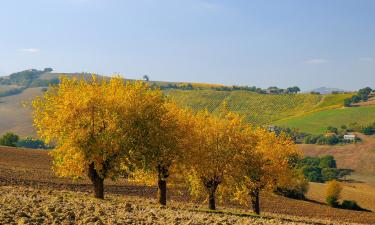 Holiday Rentals in San Lorenzo in Campo