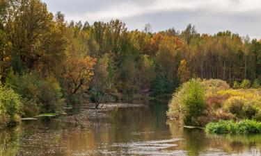 Ferienwohnungen in Kłodawa