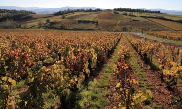 Viesnīcas ar autostāvvietu pilsētā Corcelles-en-Beaujolais