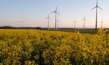 Hoteller i Ulrichstein