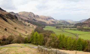 Husdjursvänliga hotell i Eskdale