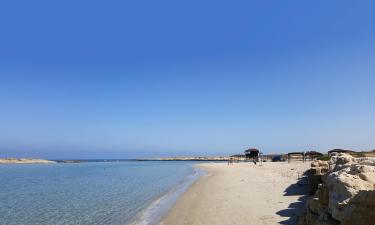 Alquileres vacacionales en la playa en Dor