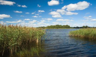 Atostogų būstai mieste Barlinekas