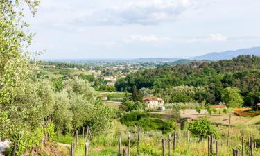 Alquileres vacacionales en Santo Stefano