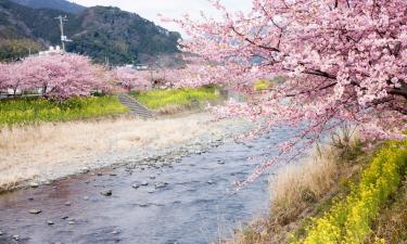 Hoteles con parking en Iwakura