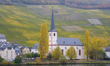 Appartementen in Piesport