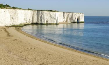 Beach rentals in Kingsgate