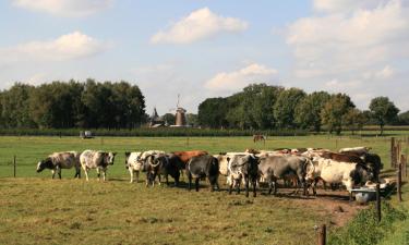 Hotels met Zwembaden in Garderen