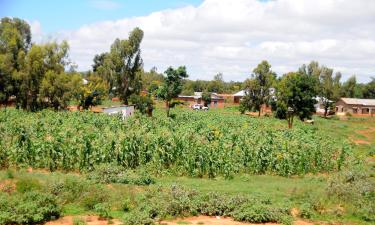 Hoteles con parking en Dodoma