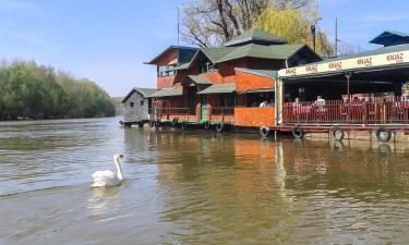 Недорогие отели в городе Čerević