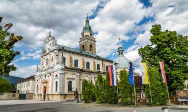 Family Hotels in Brezje