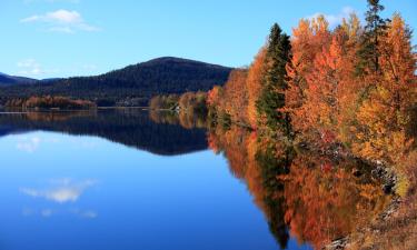 Hotel con parcheggio a Holmsund