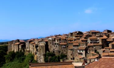 Holiday Rentals in Farnese