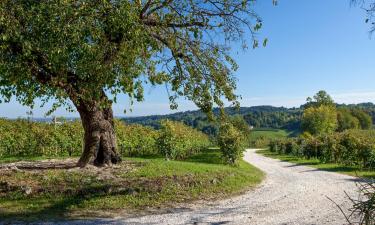 Hotels with Parking in Refrontolo