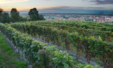 Hotels mit Parkplatz in Cantalupa