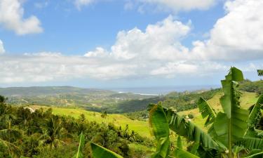 Hoteli sa parkingom u gradu Saint Thomas