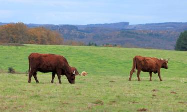 Hotels with Parking in Souvigny