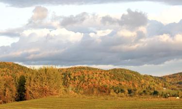 Family Hotels in Cantley