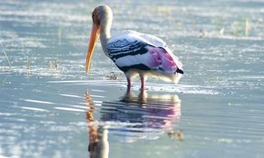 Hótel með bílastæði í Bharatpur