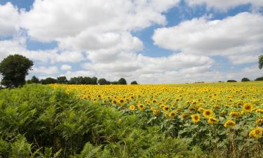 Hotell med parkering i Moutiers-sous-Chantemerle