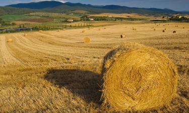 Agroturismos en Bibbona