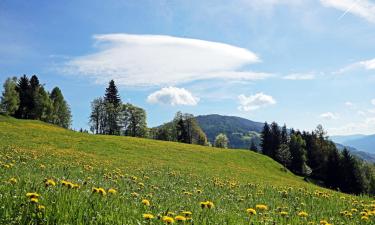 Familiehoteller i Fladnitz an der Teichalm