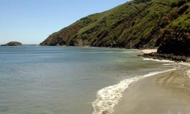 Pet-Friendly Hotels in Cambria