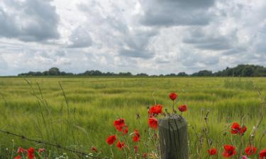 Ferieboliger i Kerkhove