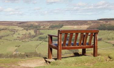 Holiday Homes in Stillington