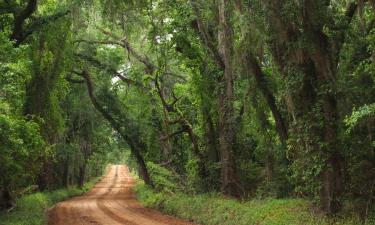 Vacaciones baratas en Chamblee