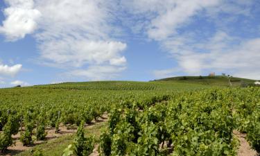 Hoteles familiares en Fleurie