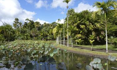 Hotel dengan Parking di Pamplemousses Village