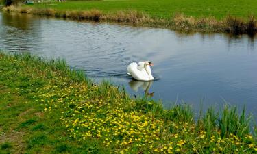 Hoteles en Narborough