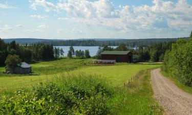 Hoteller i Lapua