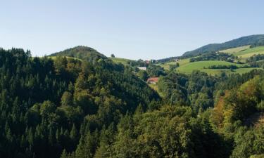 Hoteluri în Bad Rippoldsau