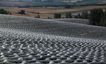 Ferieboliger i Lectoure