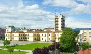 Viešbučiai mieste Gornji Milanovac