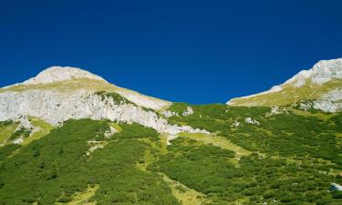 Hotels amb aparcament a Albaron