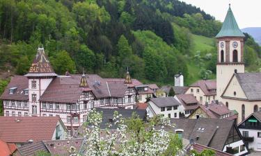 Hotel con parcheggio a Bad Peterstal