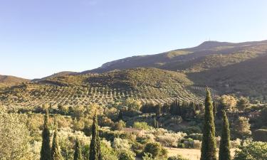 Alloggi vicino alla spiaggia a Cala Galera